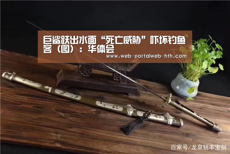 巨鲨跃出水面“死亡威胁”吓坏钓鱼客(图):华体会(图1) 华体会app