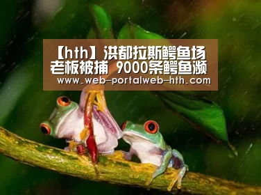 华体会